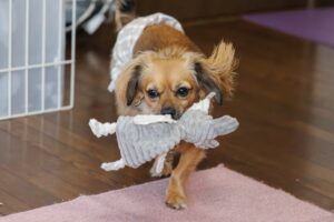 パートスタッフ募集